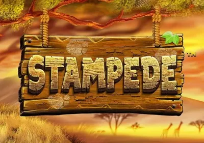 Stampede